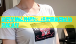 暗网禁地软件揭秘：探索黑暗网络的隐秘世界