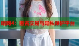 暗网4：匿名交易与隐私保护平台