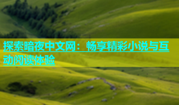 探索暗夜中文网：畅享精彩小说与互动阅读体验