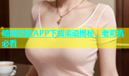 暗网禁区APP下载渠道揭秘，老司机必看