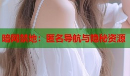 暗网禁地：匿名导航与隐秘资源