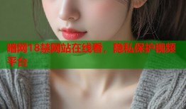 暗网18禁网站在线看，隐私保护视频平台