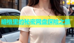暗格里的秘密网盘探险之旅