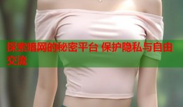 探索暗网的秘密平台 保护隐私与自由交流