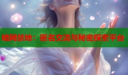 暗网禁地：匿名交流与秘密探索平台