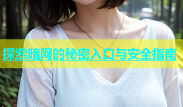 探索暗网的秘密入口与安全指南
