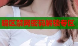 暗区禁网密码解锁专区