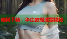 暗网下载：华住数据泄露揭秘