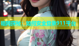 暗网探秘：如何安全登录911平台