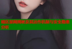 暗区禁网揭秘及其运作机制与安全隐患分析