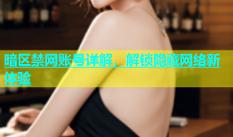 暗区禁网账号详解，解锁隐藏网络新体验