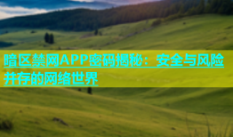 暗区禁网APP密码揭秘：安全与风险并存的网络世界