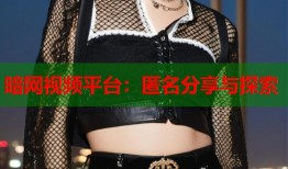 暗网视频平台：匿名分享与探索