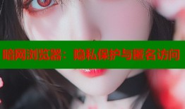暗网浏览器：隐私保护与匿名访问