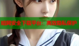 暗网安全下载平台：高效隐私保护