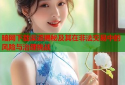 暗网下载渠道揭秘及其在非法交易中的风险与治理挑战