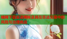 暗网下载渠道揭秘及其在非法交易中的风险与治理挑战