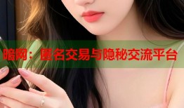 暗网：匿名交易与隐秘交流平台