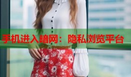 手机进入暗网：隐私浏览平台