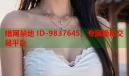 暗网禁地 ID-9837645，专属隐私交易平台