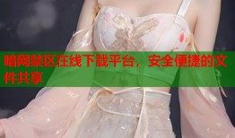 暗网禁区在线下载平台，安全便捷的文件共享