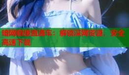 暗网链接直通车：解锁深网资源，安全高速下载