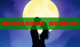 暗网禁地免费破解版：解密黑客世界
