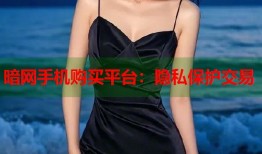 暗网手机购买平台：隐私保护交易
