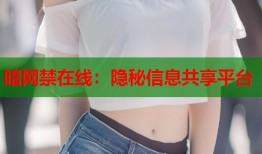 暗网禁在线：隐秘信息共享平台