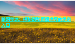 暗网禁地：探秘隐秘直播世界的绝密入口