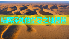 暗网深处的禁忌之地揭秘
