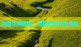 暗网深渊揭秘：潜藏的秘密与危险