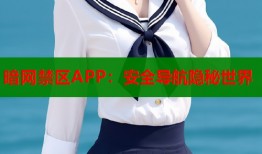 暗网禁区APP：安全导航隐秘世界