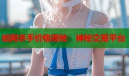 暗网杀手价格揭秘：神秘交易平台