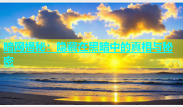 暗网揭秘：隐藏在黑暗中的真相与秘密