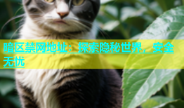 暗区禁网地址：探索隐秘世界，安全无忧