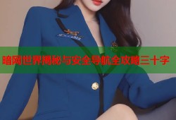 暗网世界揭秘与安全导航全攻略三十字