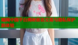 暗网中国平台揭秘匿名交易与隐私保护新体验