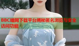 BBC暗网下载平台揭秘匿名浏览与安全访问功能