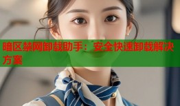 暗区禁网卸载助手：安全快速卸载解决方案