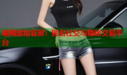 暗网禁地官房：匿名社交与隐秘交易平台