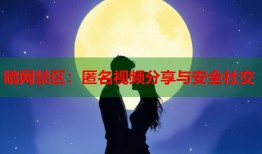 暗网禁区：匿名视频分享与安全社交
