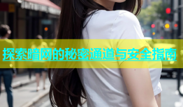 探索暗网的秘密通道与安全指南