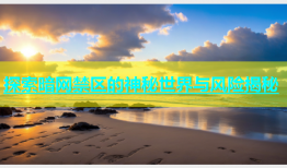 探索暗网禁区的神秘世界与风险揭秘