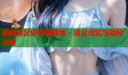 暗网禁区免费破解版：匿名浏览与隐秘资源