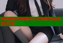 揭秘暗网世界暗网可以买到哪些物品和服务详解