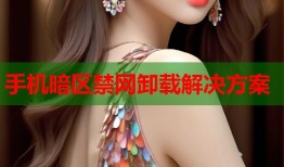 手机暗区禁网卸载解决方案
