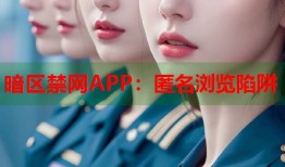 暗区禁网APP：匿名浏览陷阱