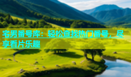 宅男番号库：轻松查找热门番号，尽享看片乐趣