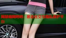 网禁暗网哟哟：匿名社交与隐私保护平台